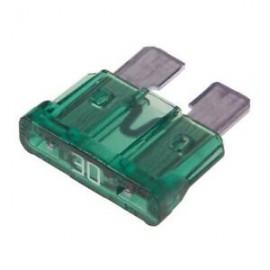 Fusible 30 Amp