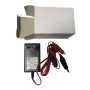 Chargeur régulateur pour batterie 12V